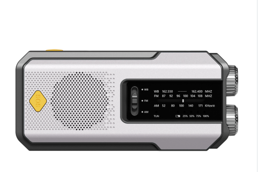 Radio FM/AM d'urgence - Disponible en gris